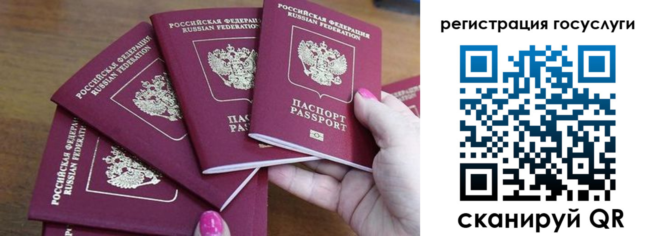 прописка в Волгоградской области
